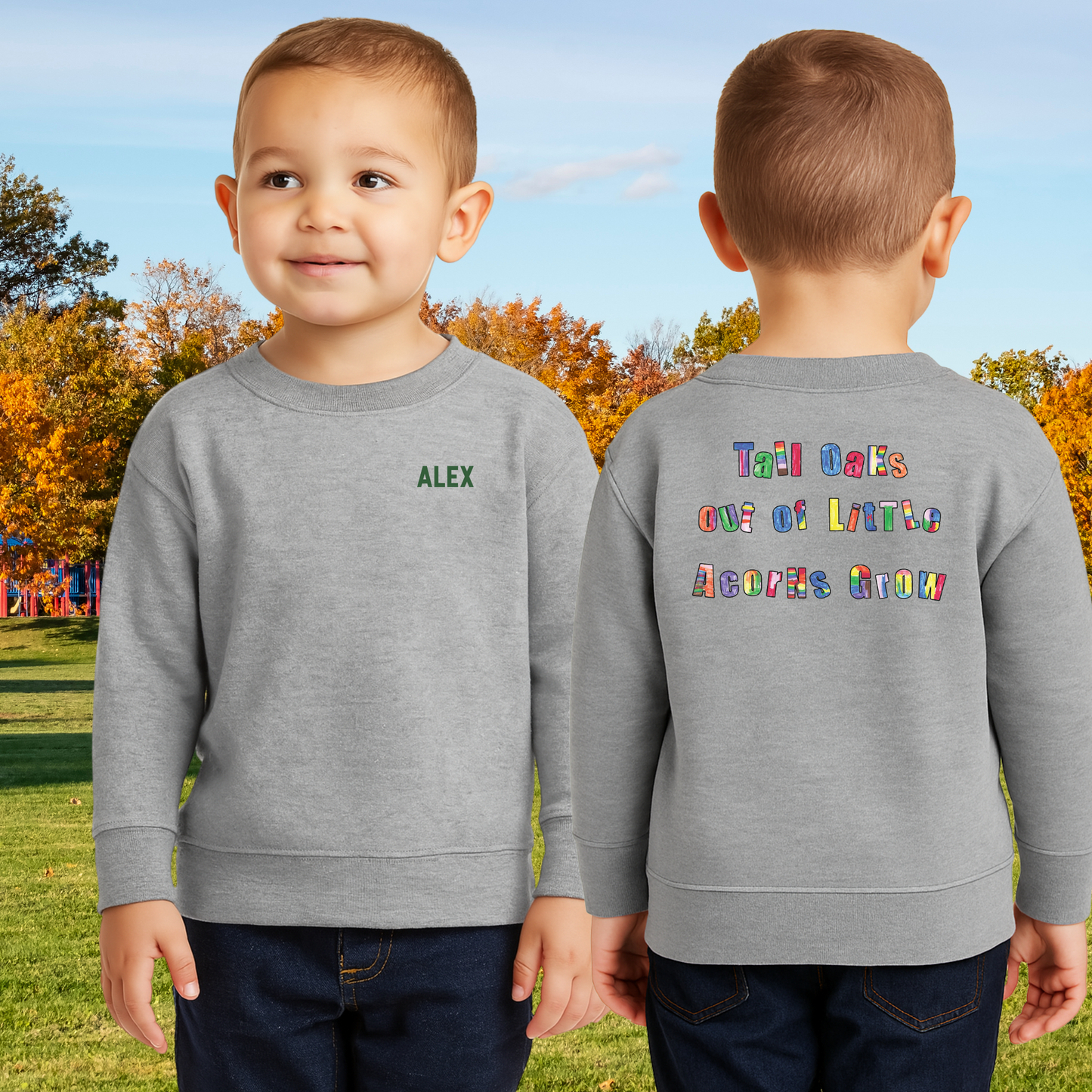 Little Acorns Toddler Crewneck Pullover Sweatshirt