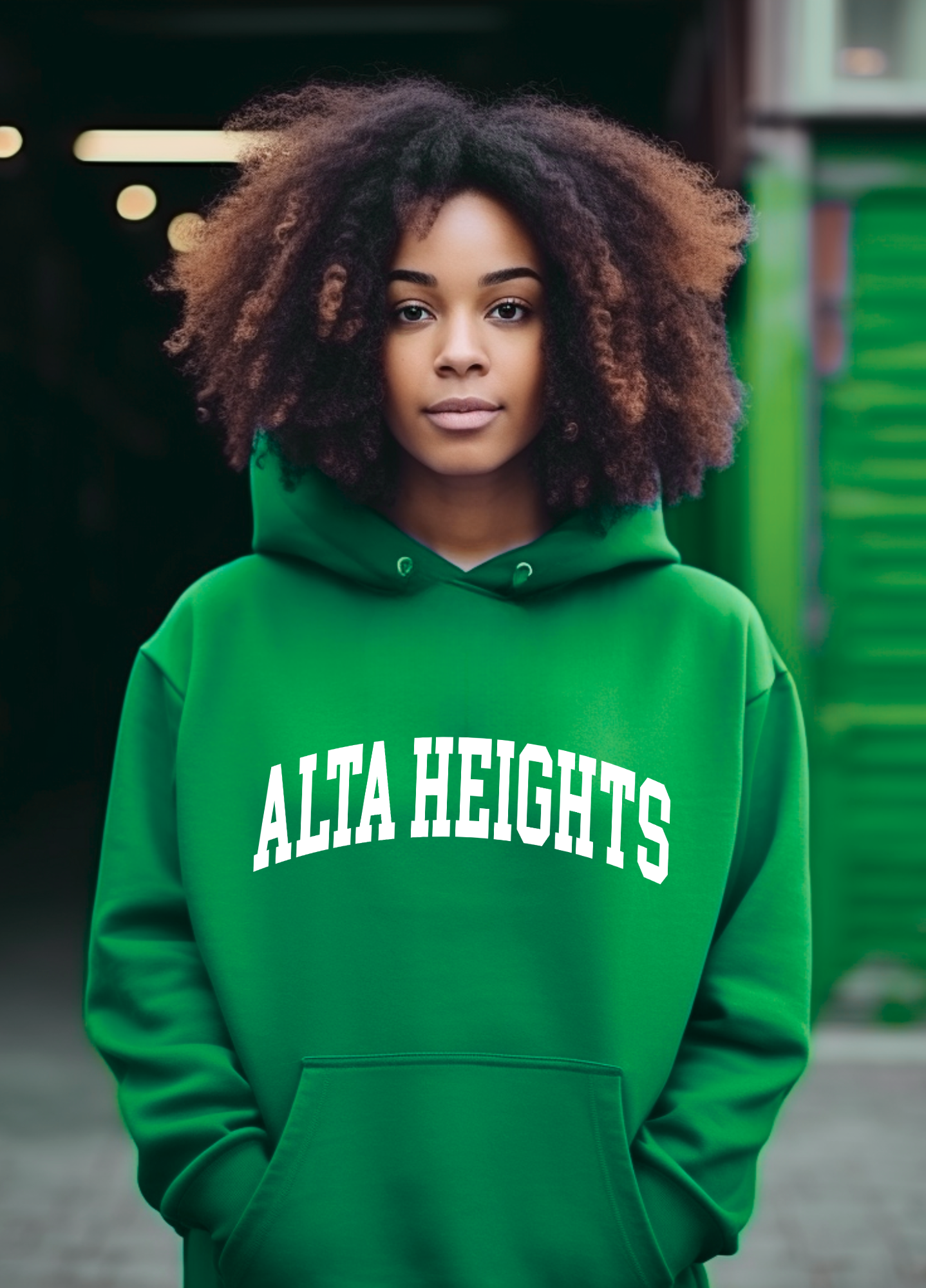 Alta Heights Adult Hoodie