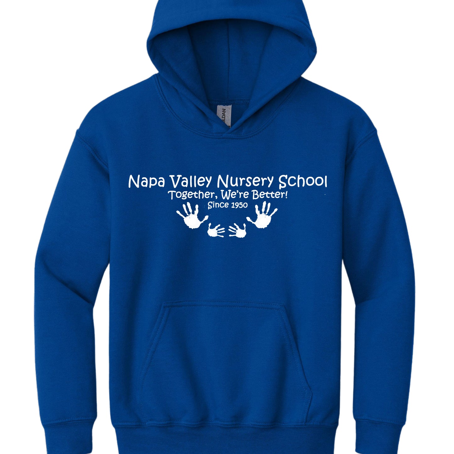 NVNS Youth Hoodie