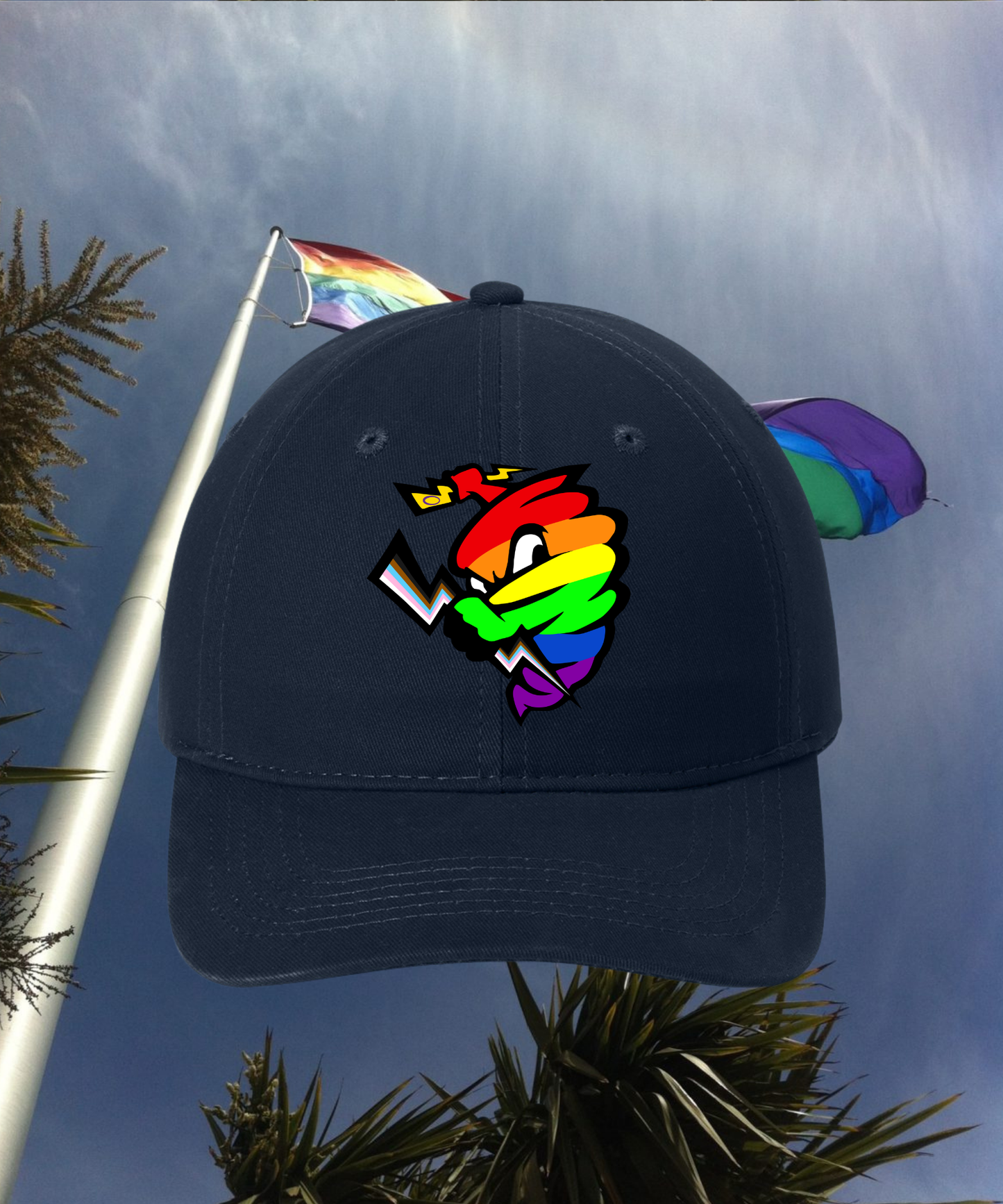 PLC Stormy Dad Hat