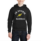 Jr. Storm Youth Hoodie