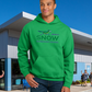 Snow Full Color Adult Unisex Hoodie