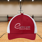 eVolve Snapback